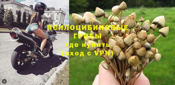 МДПВ Костерёво