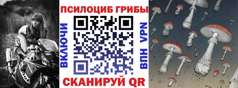 darknet наркотические препараты  Северск  Галлюциногенные грибы Cubensis 